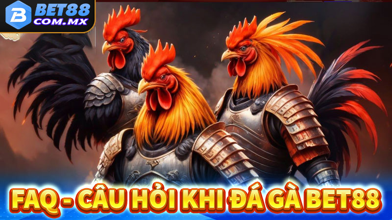 FAQ - Những câu hỏi thường gặp khi tham gia đá gà bet88